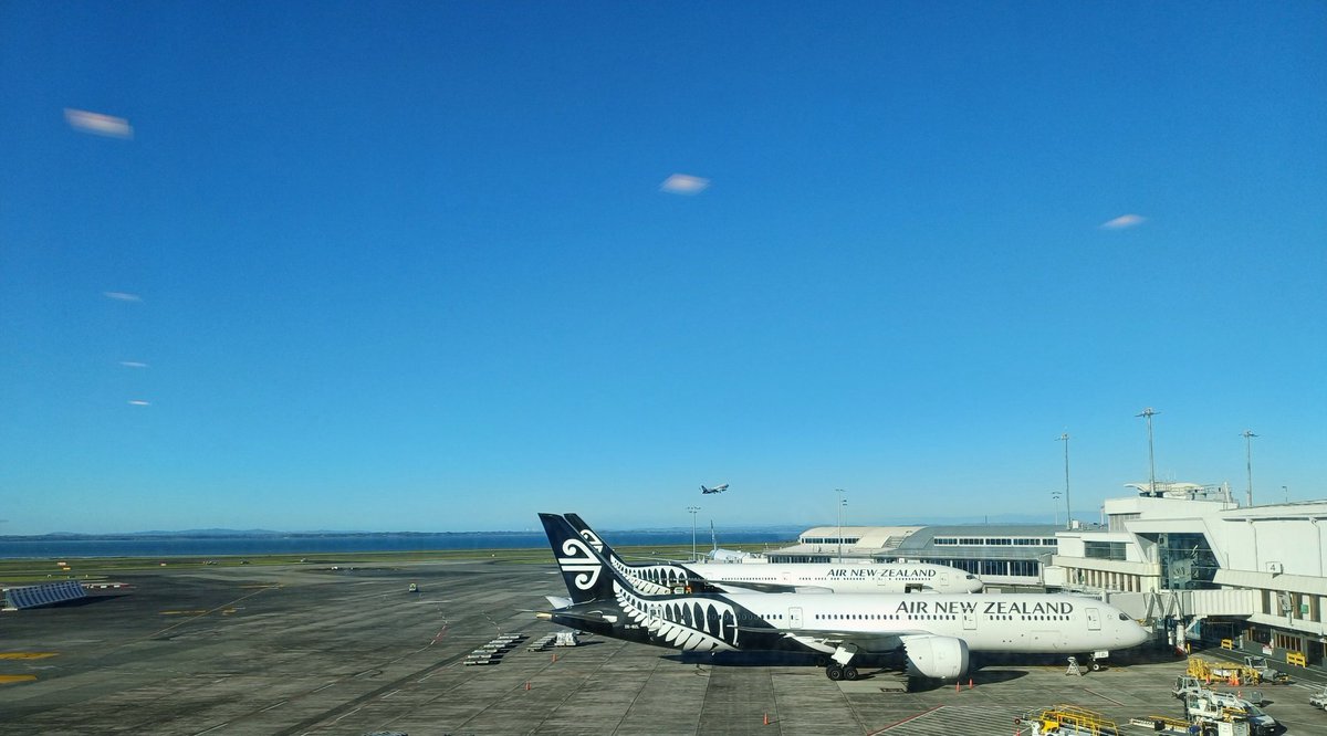 YuzuMilkNZ❤️🐱⛸ tweet media