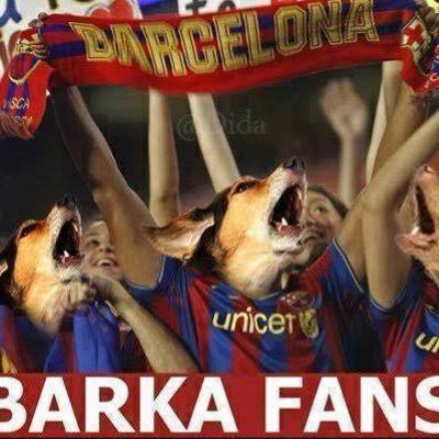 Krzysztof tweet media