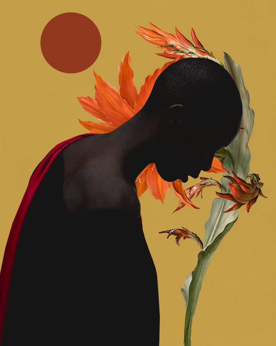 thais silva tweet media