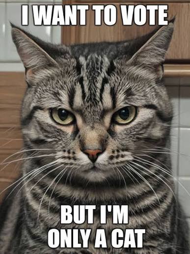 Color Me Skeptical tweet media