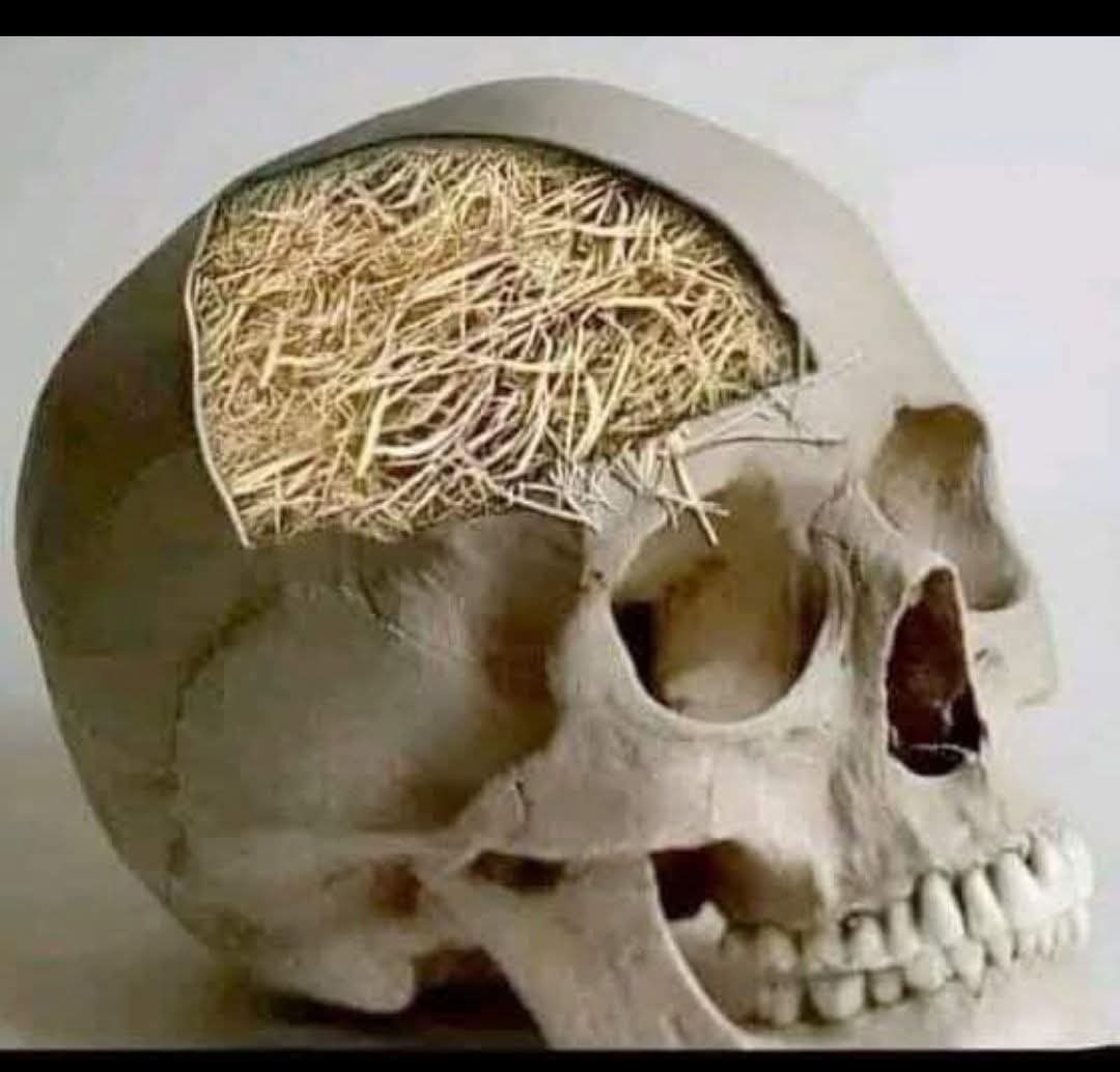 Nene hatun.. tweet media