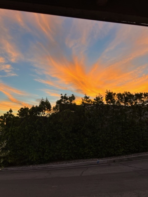 David C. Stolinsky tweet media