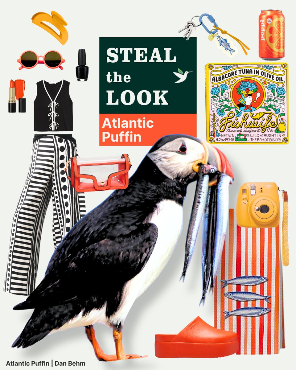 American Bird Conservancy tweet media