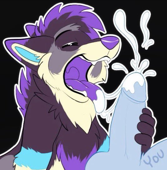 Kizma Husky tweet media