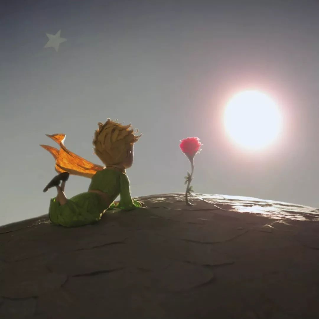 Maropeng tweet media