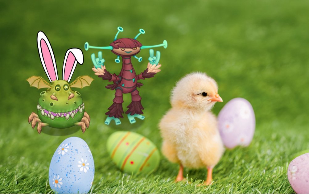 Terra 🐧 tweet media