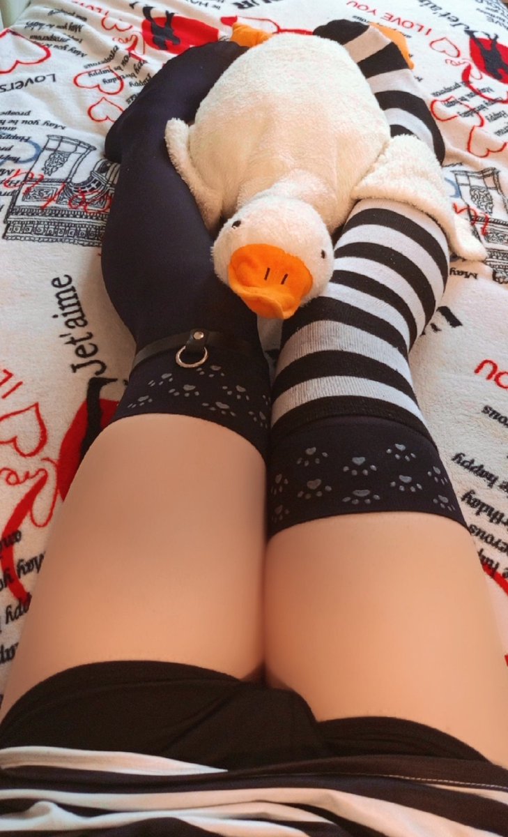 silspire's tweet photo. I just adore my little Guckling Kevin! ^^ https://t.co/vBvgfFCLh5