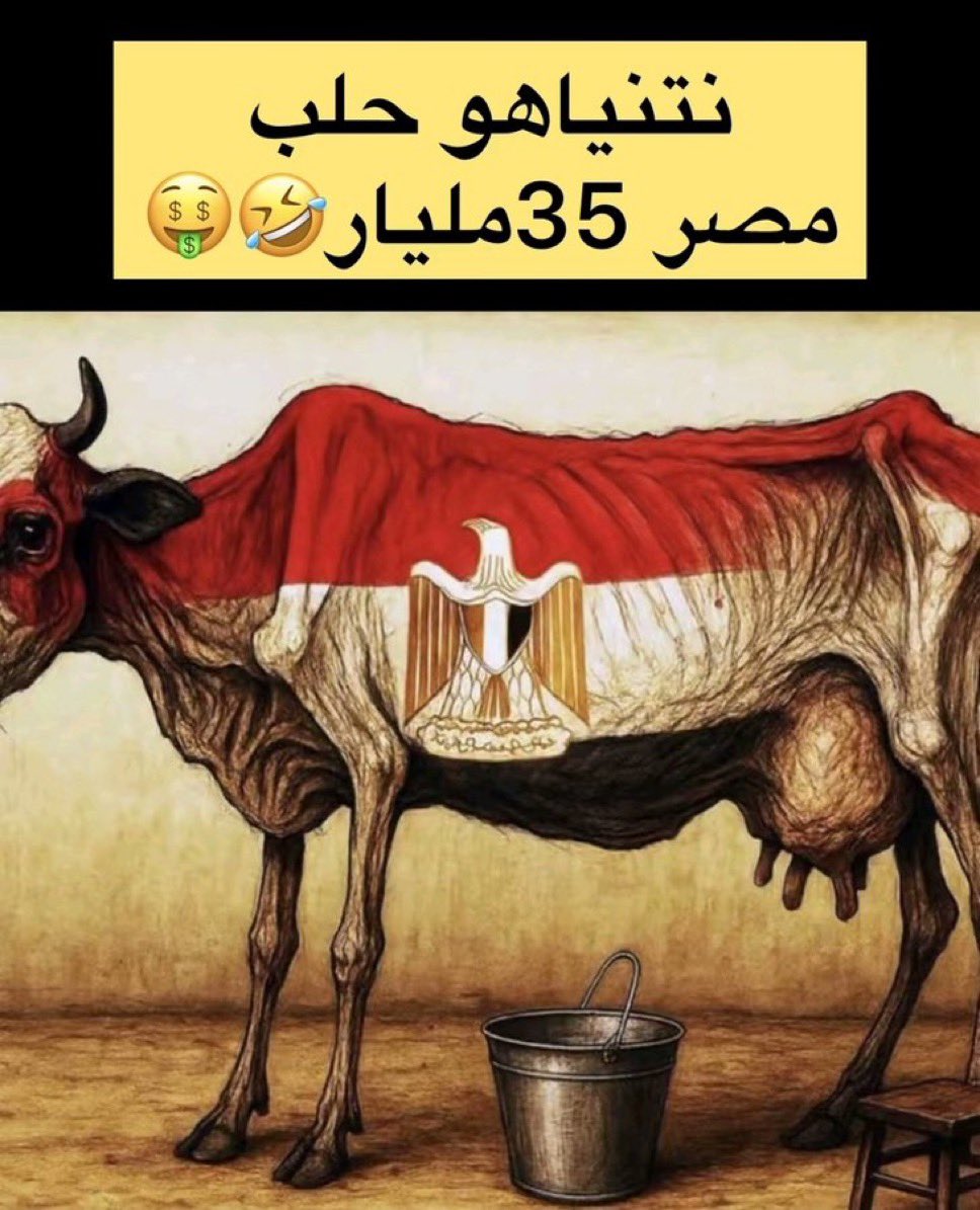 خلودي 🇾🇪❤️🇸🇦 tweet media