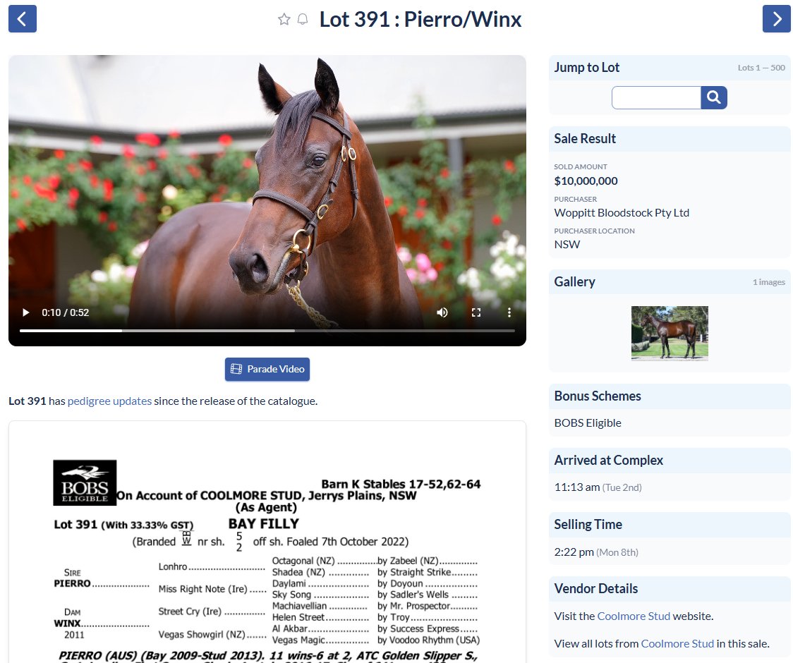 Little Birdie tweet media