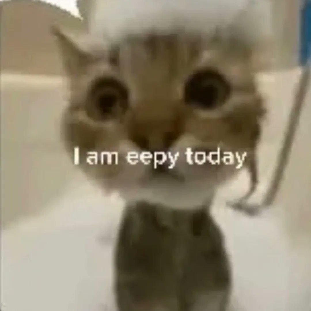 smol silly cat tweet media