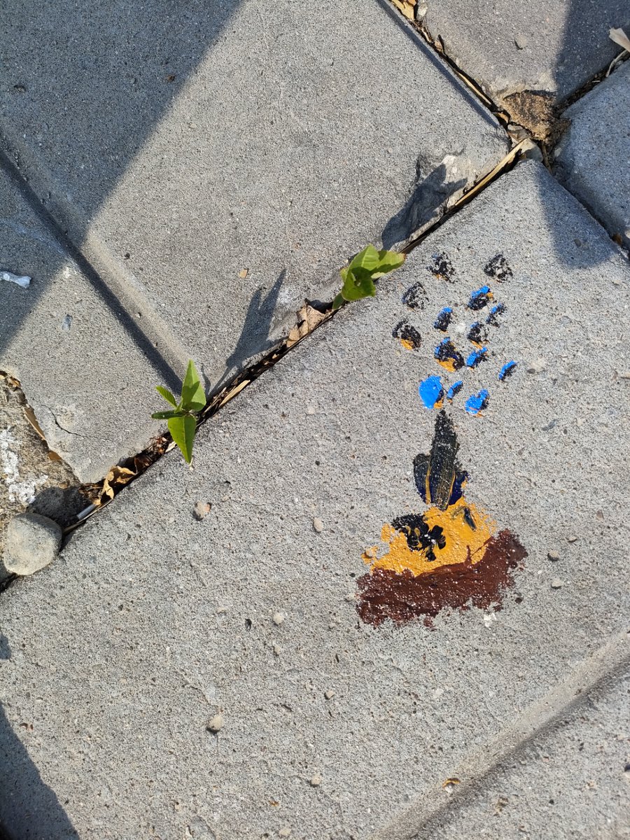 caveryoo tweet media