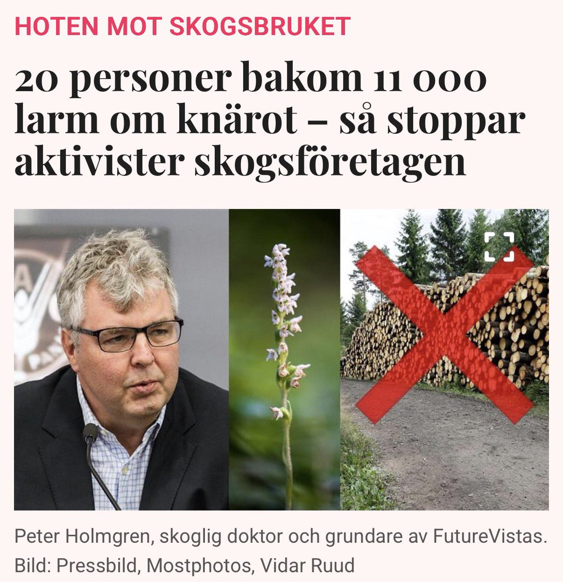 Richard Herrey tweet media