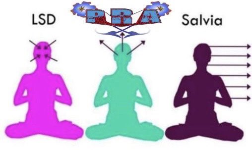 AGUSFORTNITE2008 #P.R.A tweet media