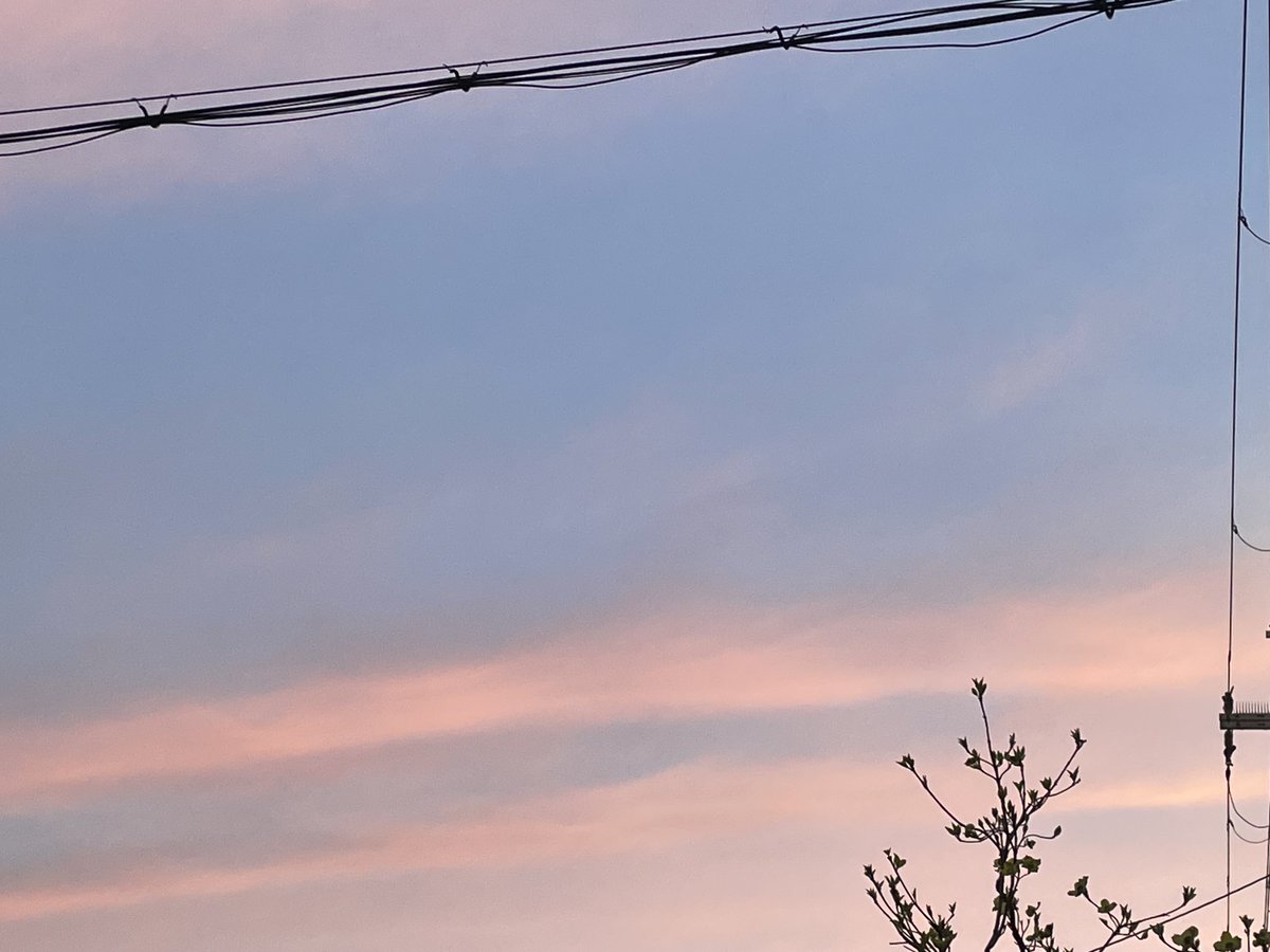 おはよう😊疲労感半端ない早朝。身体が重いし眠い。本日4時起床。スタートが遅れた。休もうかと思ったけど明日が雨なので無理しない程度に、疲労感が強過ぎて10.12キロ。限界😵。10キロ走れたので良きとしよう。これが更年期かという感じ。ただただ疲労と寝不足かもだけど。今日も頑張る。れるかな。