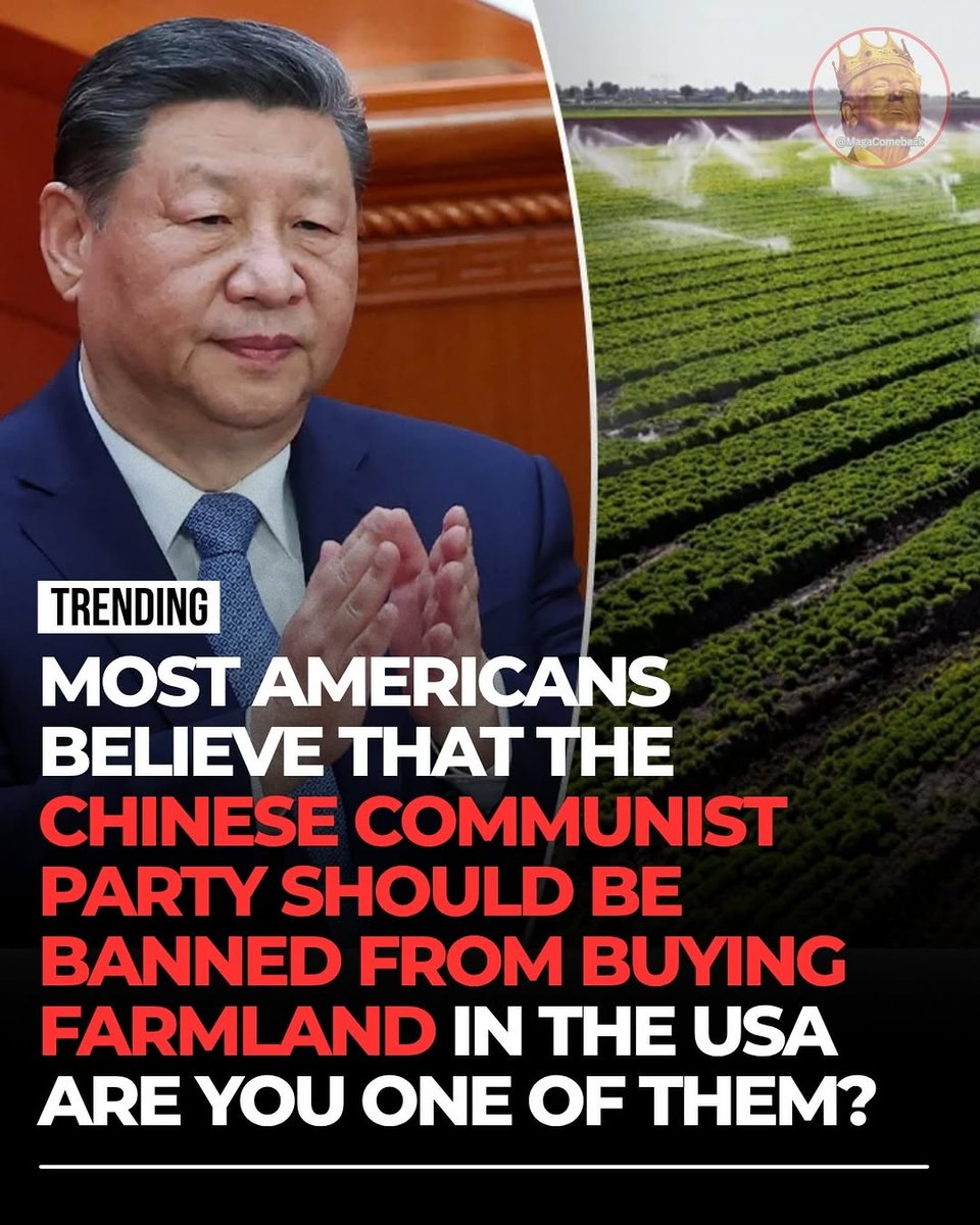 Luna Jones🇺🇸 tweet media