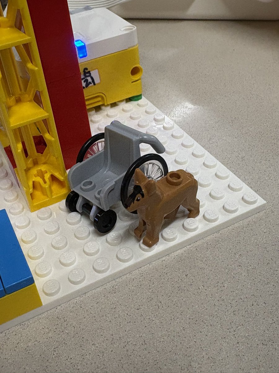 MEATRT's tweet photo. Mrs. Zdan’s 3rd grade designed Spike Lego Amusement Park rides with ways to protect them from natural disasters, and made sure the rides were accessibility friendly. (I loved the wheelchair ramps and the service dog waiting for the passenger..)@ALG_LCPS https://t.co/udLi7F6kcc