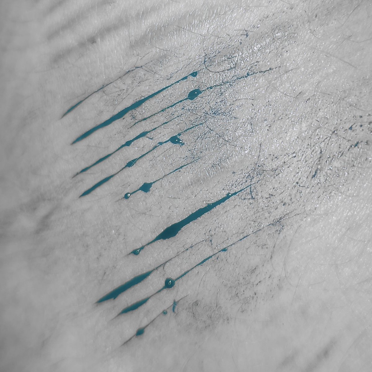 shuji nakaumi of #shedtwt tweet media