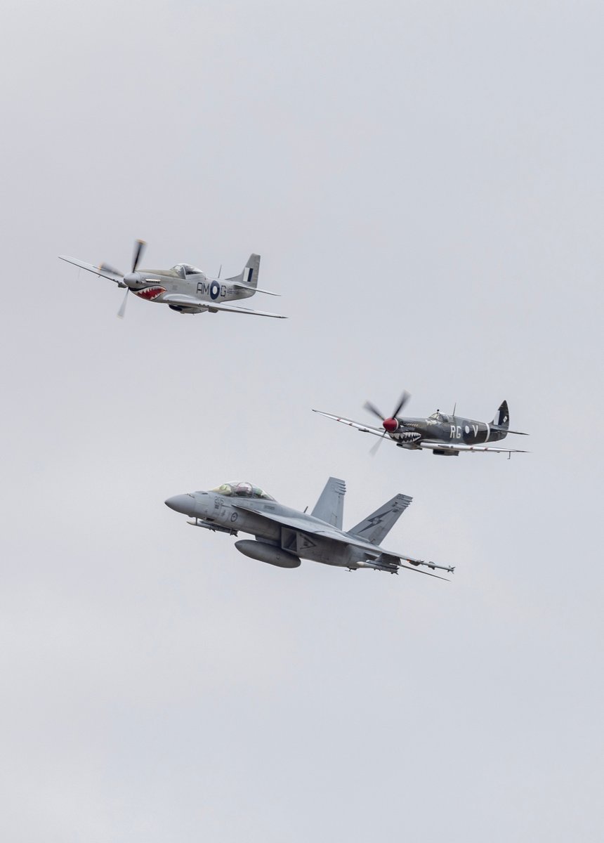 Royal Australian Air Force tweet media