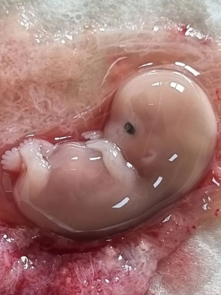 Created Equal tweet media