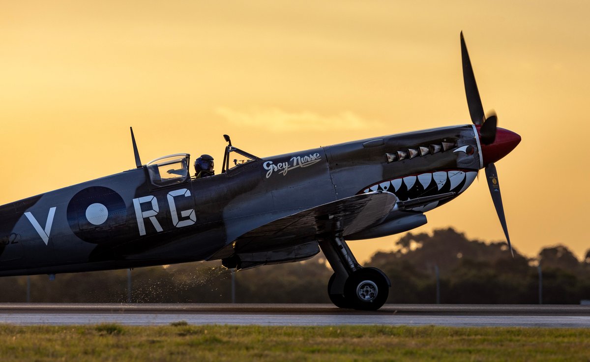 Royal Australian Air Force tweet media