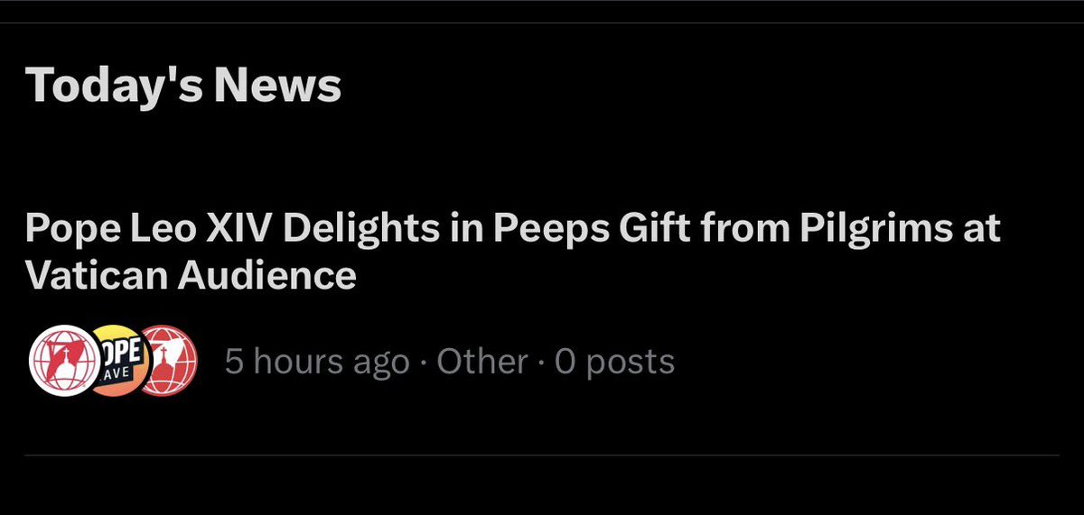 Katie Prejean McGrady tweet media