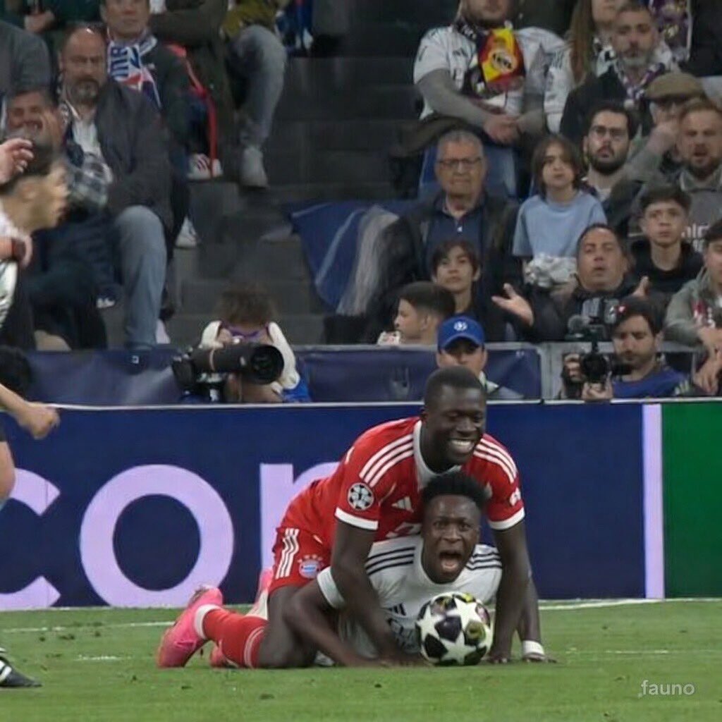 milanesa tweet media