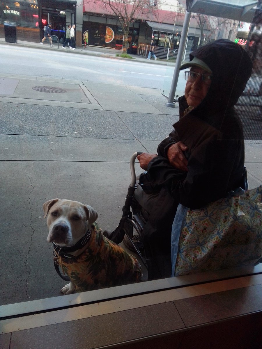 LebrockTony's tweet photo. Wed๐
๐พJoey's TakeOut๐พ๐
#timhortons #timbits #doglife #luckydog #dogsnack #pittie
#pittrageous #dogsoftwitter https://t.co/fDlnaGREvA