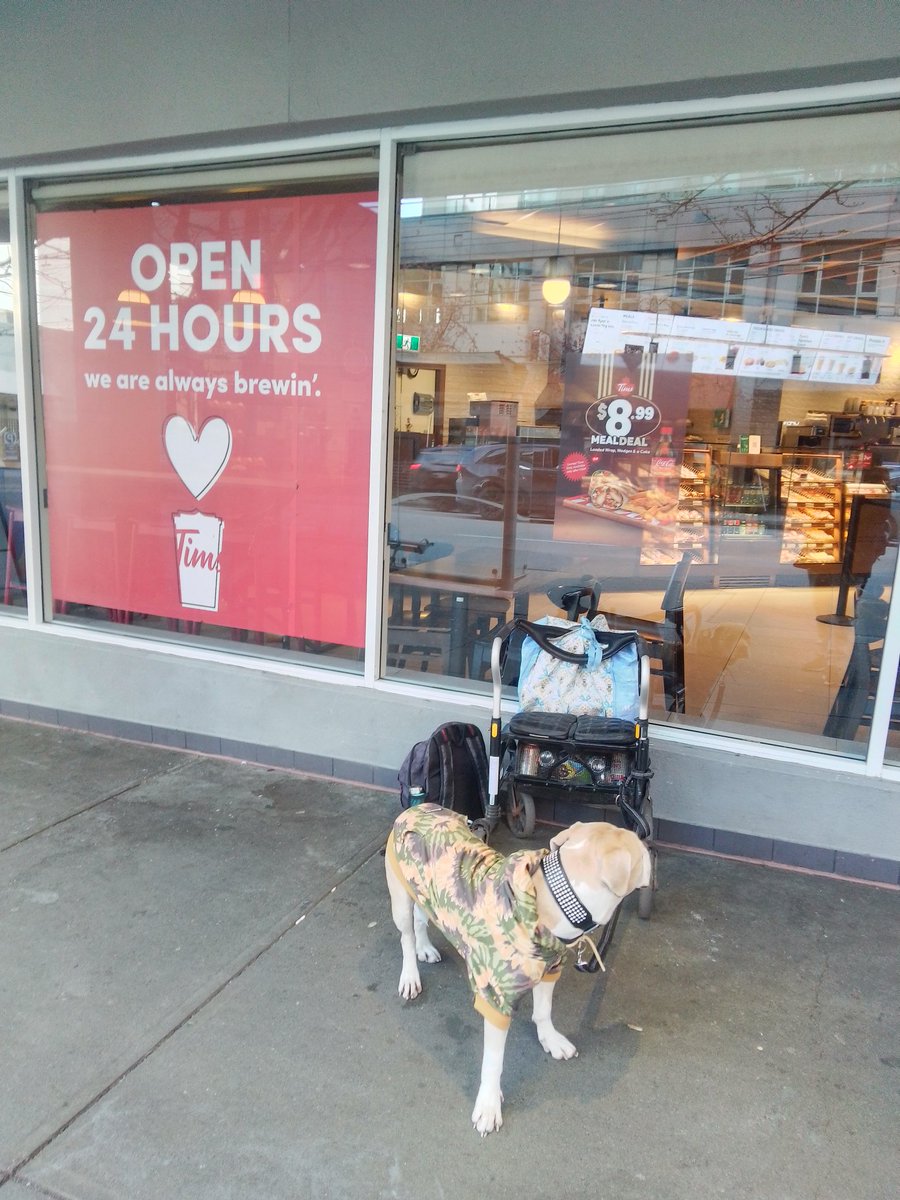 LebrockTony's tweet photo. Wed๐
๐พJoey's TakeOut๐พ๐
#timhortons #timbits #doglife #luckydog #dogsnack #pittie
#pittrageous #dogsoftwitter https://t.co/fDlnaGREvA