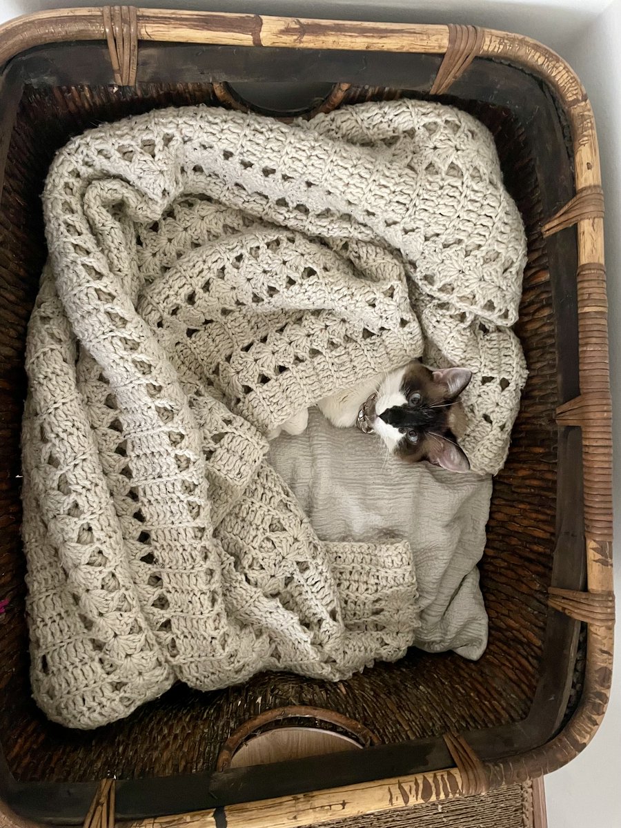 XEquus's tweet photo. Wake Me Up Before You Go-Go! https://t.co/FTNpItphOf