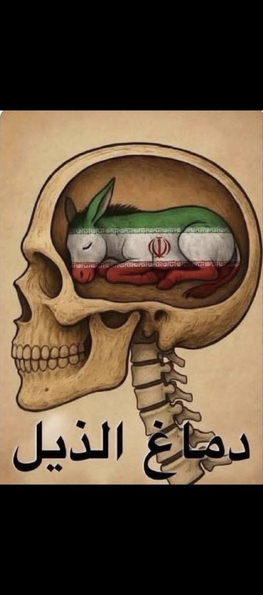 N tweet media