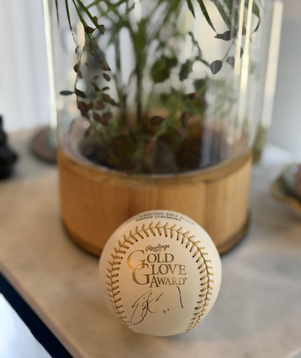 BALLBAKEDTAKES's tweet image. 🤯 @GundersonNathan just adding to my collection like it’s no biggie! 
This is an absolutely beautiful Eric Hosmer gold glove baseball‼️💙 ⭐️
Cannot wait to display it. SOMETHIN ELSE! Never let them know your next move I guess! 
#hobbyfam 🙏🏻🙌🏻🫶🏻 #hobbypositivity