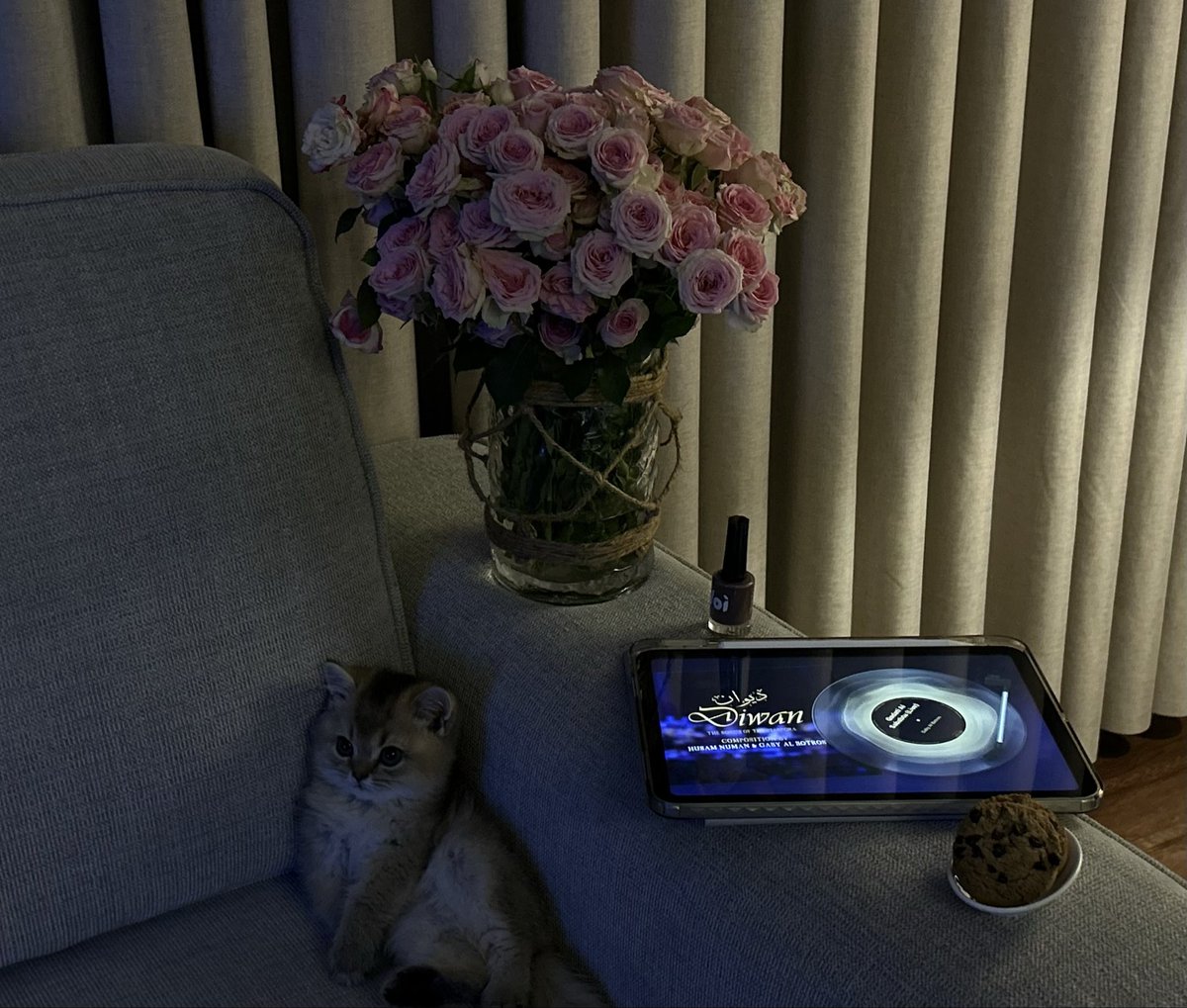 مُثنى tweet media