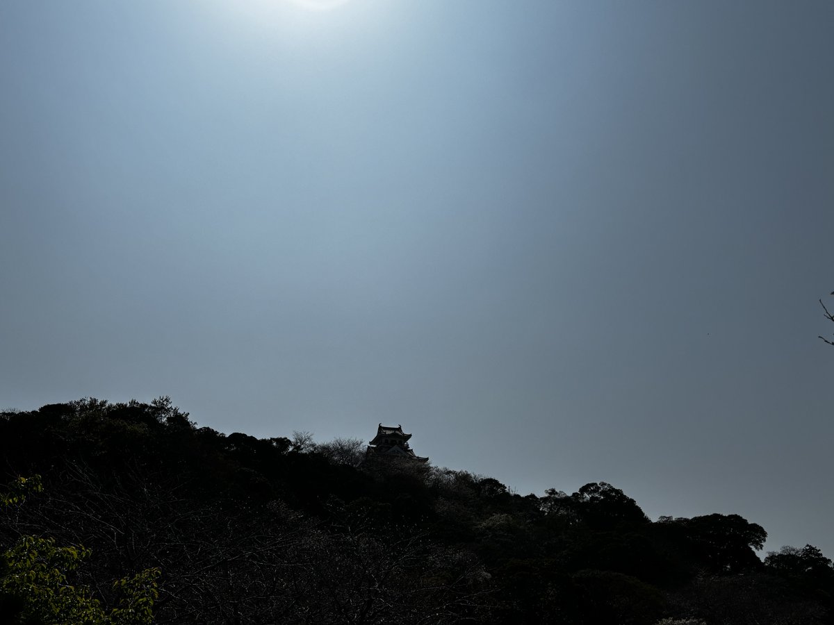 ジョナサソ tweet media