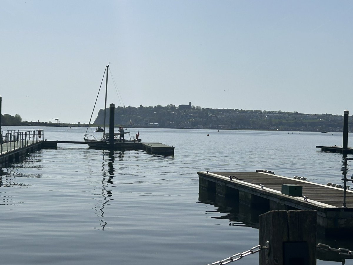 ayan • 🩷🌻 tweet media