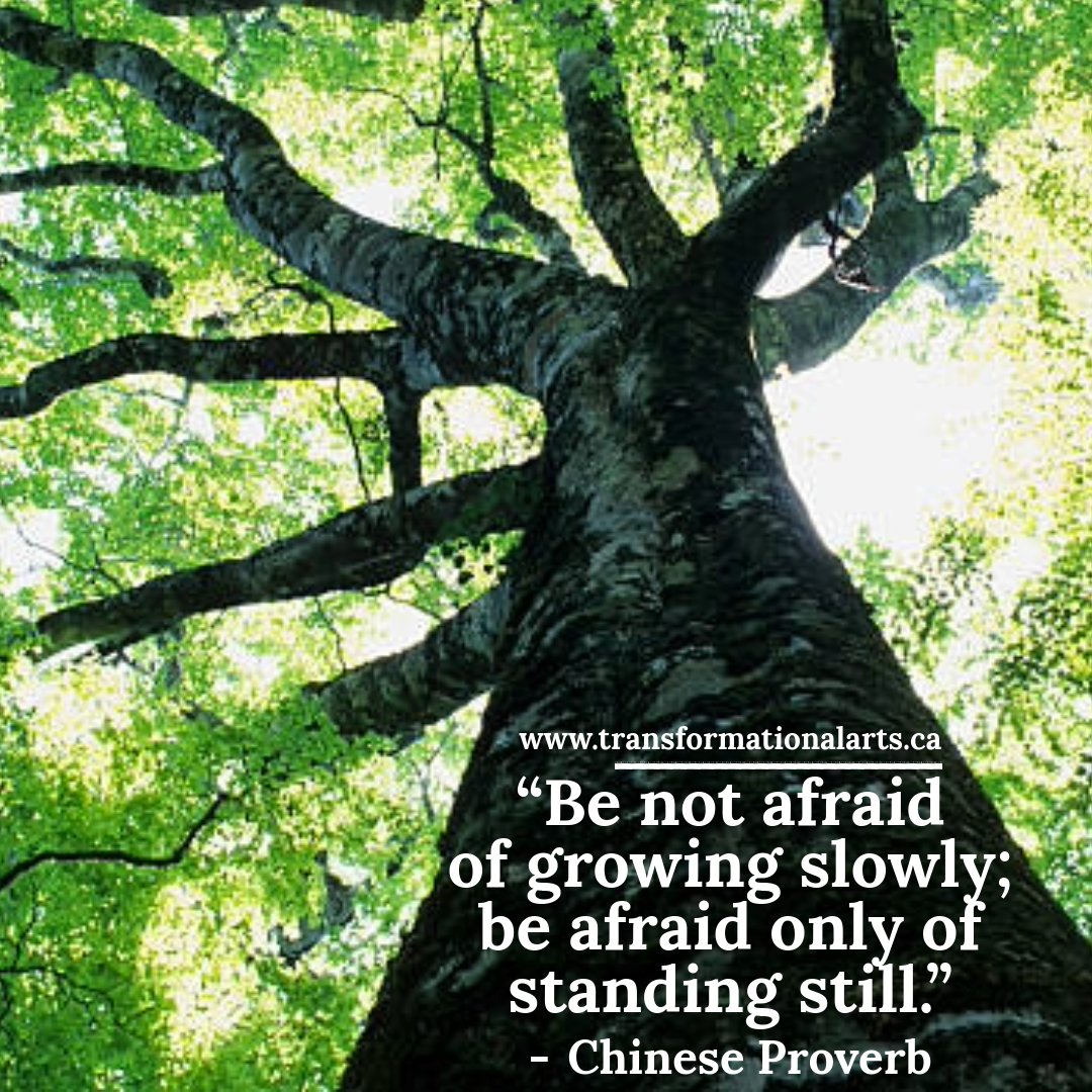 TransformArts's tweet photo. “Be not afraid of growing slowly; be afraid only of standing still.” - Chinese Proverb.
.
.
.
#wednesdaywisdom #holistichealth https://t.co/errH5tV4Ua