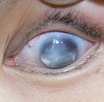 All day Astronomy tweet media