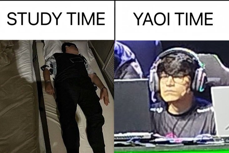 VI .ᐟ.ᐟ 🧸 tweet media