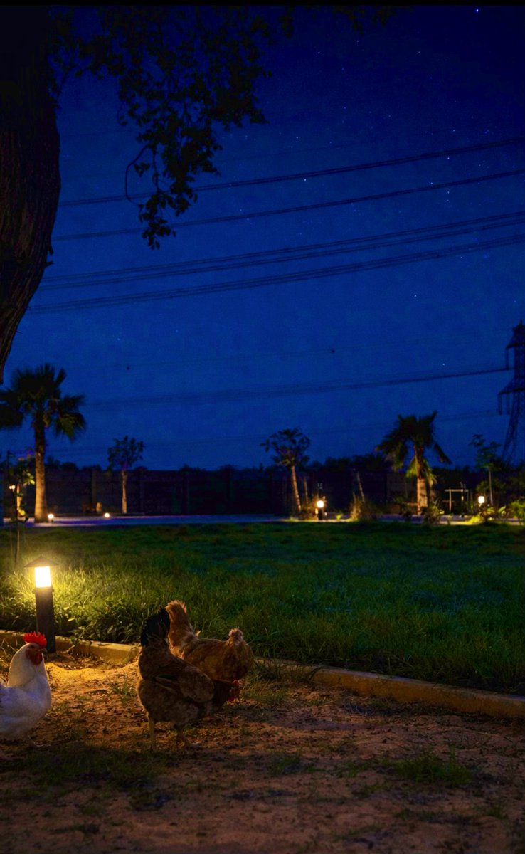 Veteran ✪ tweet media