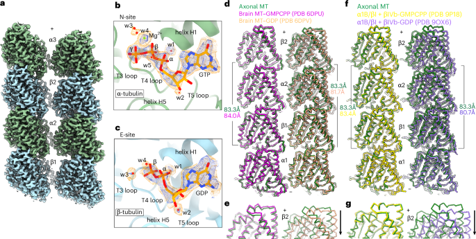 NatureStructMolBiol tweet media
