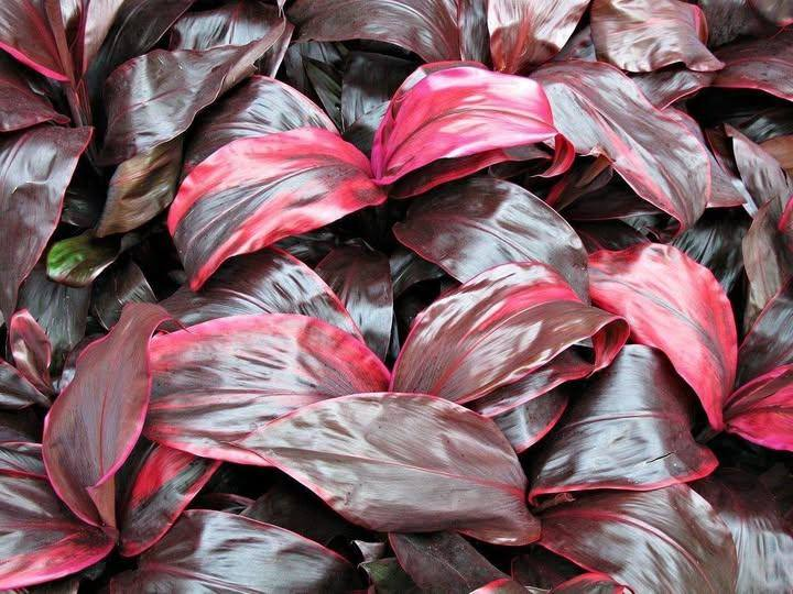 Roy Kelley tweet media