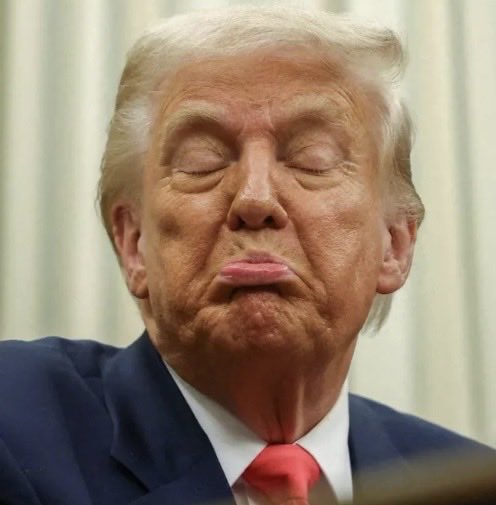 Noah Body tweet media