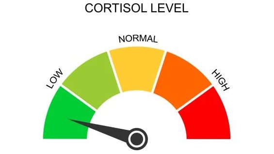 gabibibi tweet media