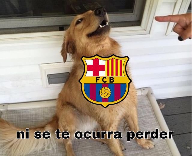 UFC Enjoyer tweet media