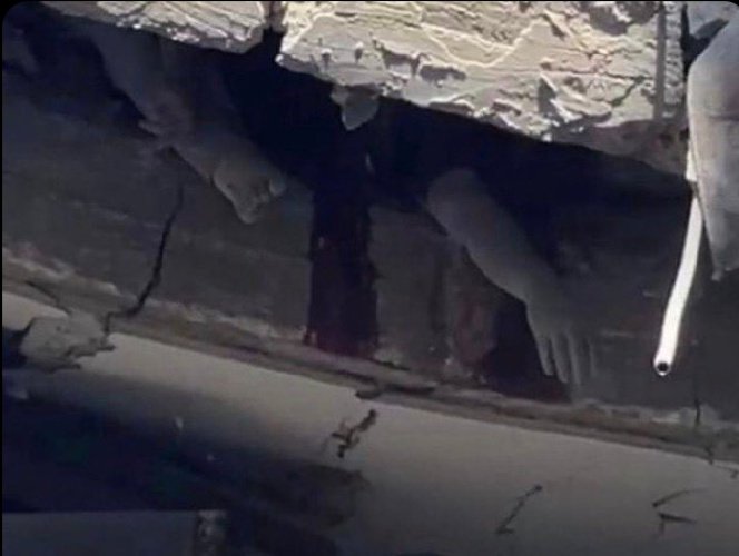 کالیبر8 tweet media