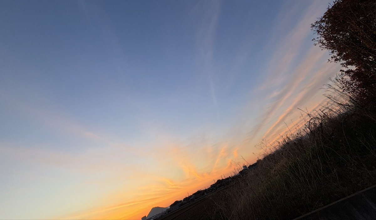 みか@キャンプ好き tweet media