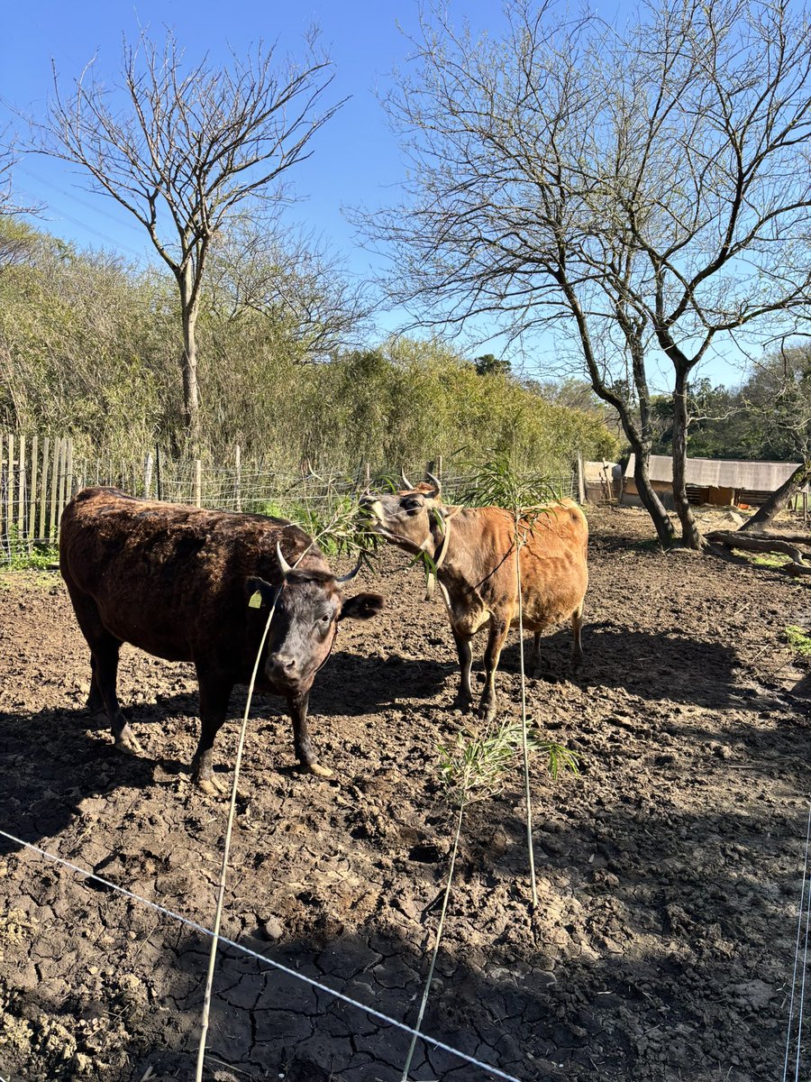 エリック🌺ゆるニート大家 tweet media