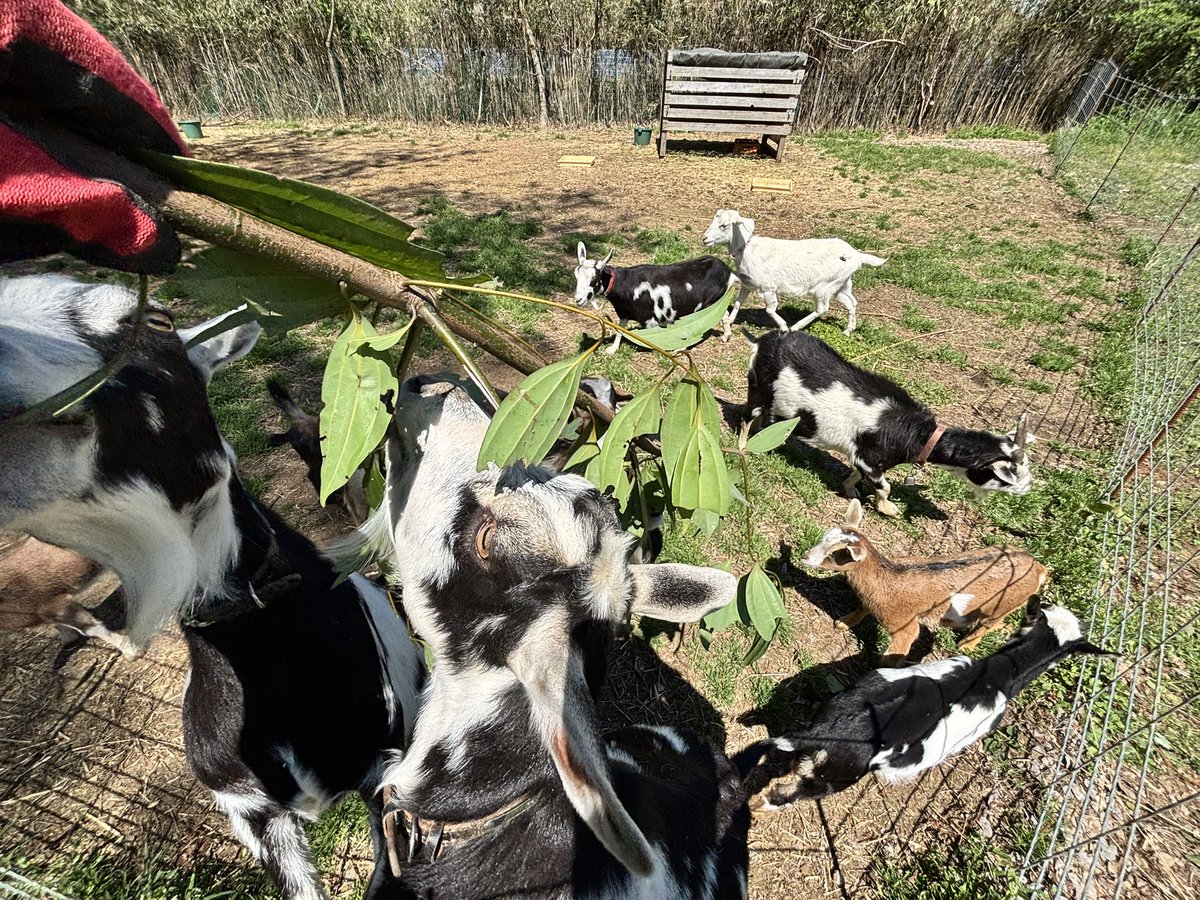 エリック🌺ゆるニート大家 tweet media