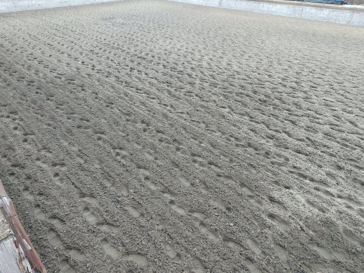 kazu@丹後のくるまえび🦐畜養はまぐり🐚牡蠣🦪販売中 tweet media