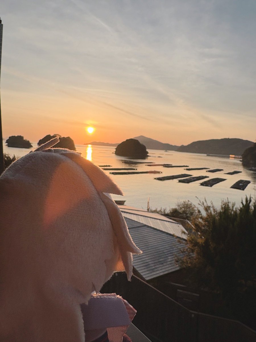 くろてら@固定通販 tweet media