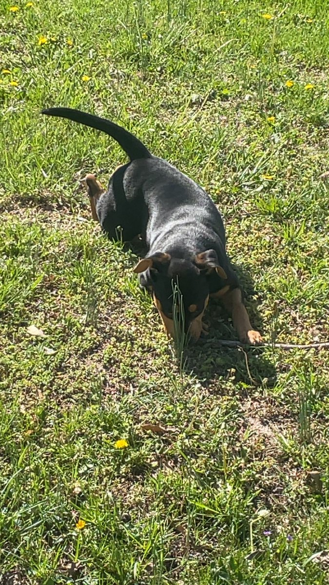 𝑴𝒂𝒎𝒂 𝑽 .ᐟ tweet media